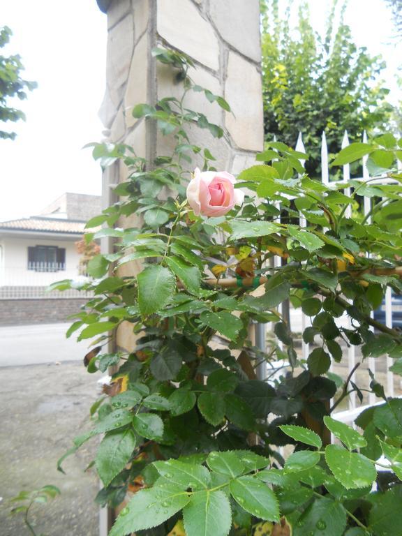 كارماجنولا Beb Villa Aurora المظهر الخارجي الصورة
